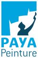 PAYA PEINTURE